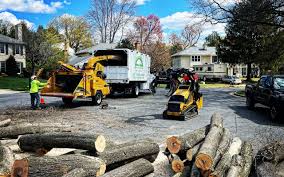 Leaf Removal in Mcfarland, CA